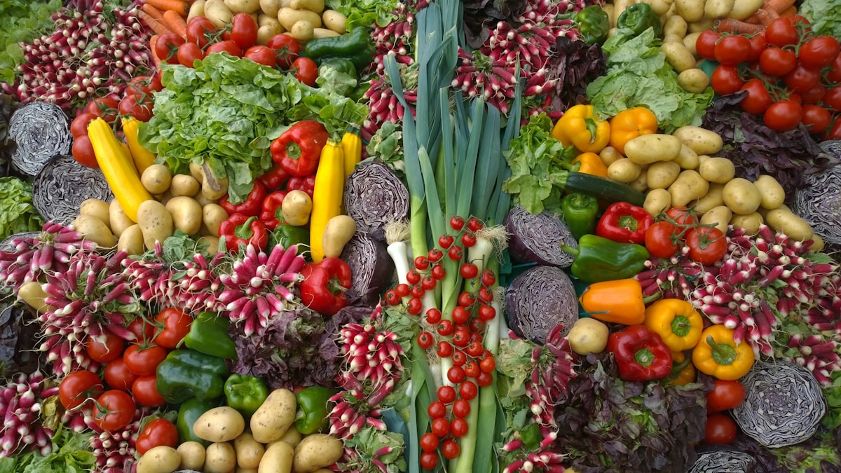 Recettes équilibrées pour la santé